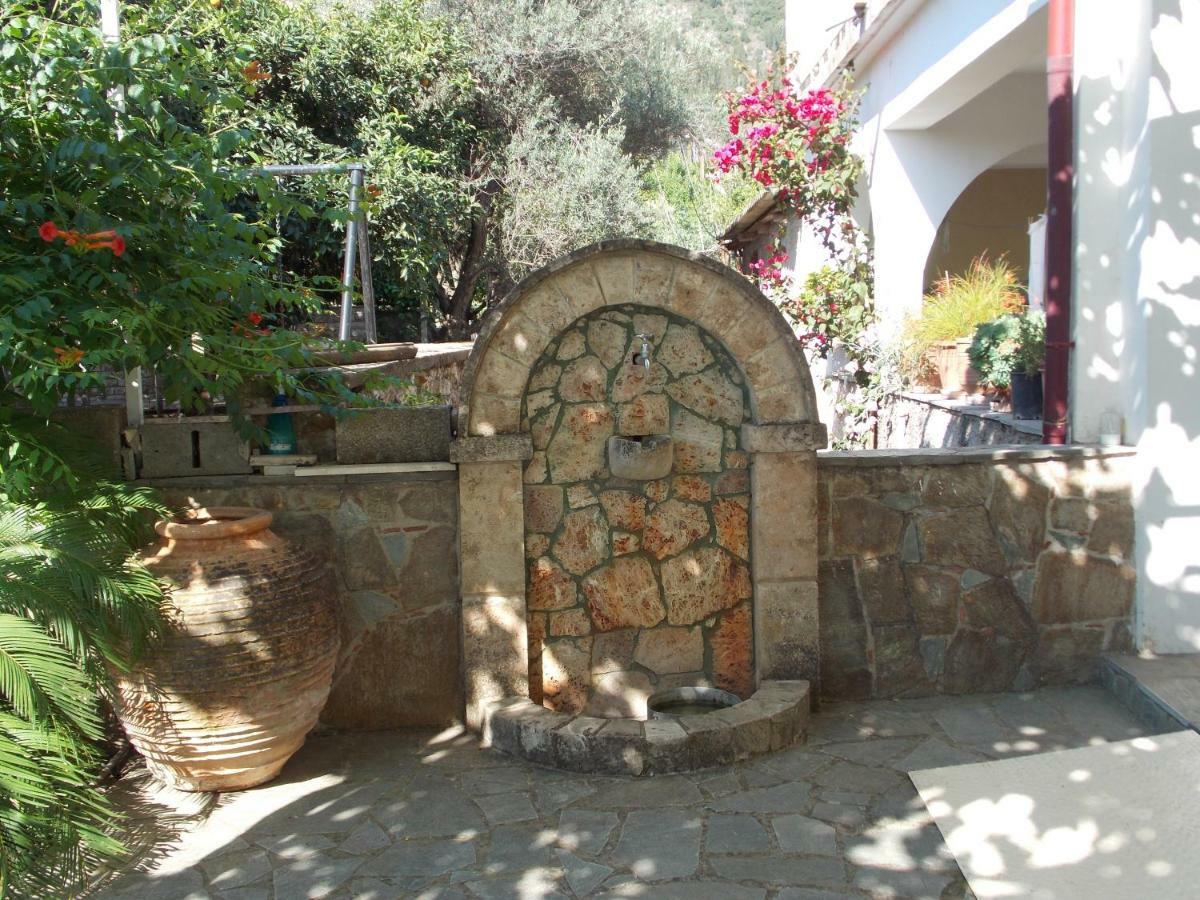 Art Flowers And Culture Μυστράς Εξωτερικό φωτογραφία