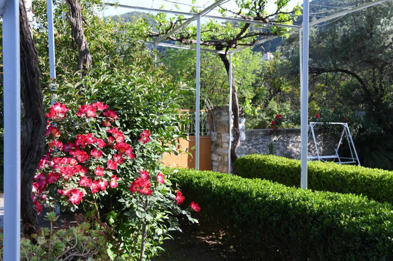 Art Flowers And Culture Μυστράς Εξωτερικό φωτογραφία